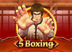 5 Boxing